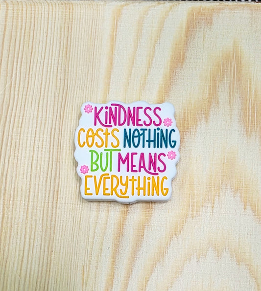 Kindness cost nothing but means everything silicone focal bead - A144