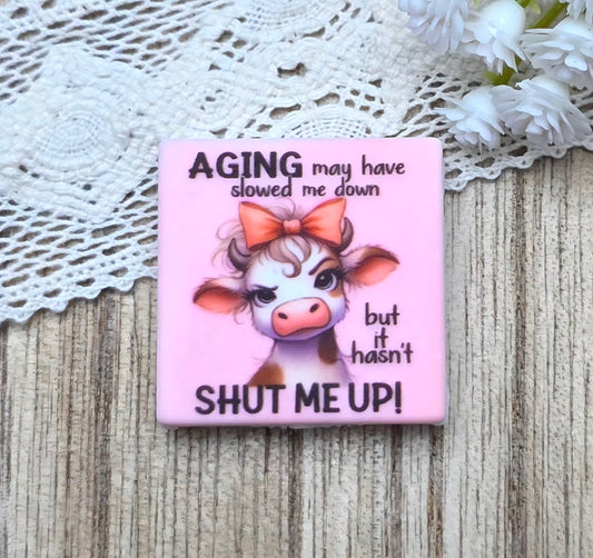 Exclusive Aging May Have Slowed Me Down Silicone Focal Bead