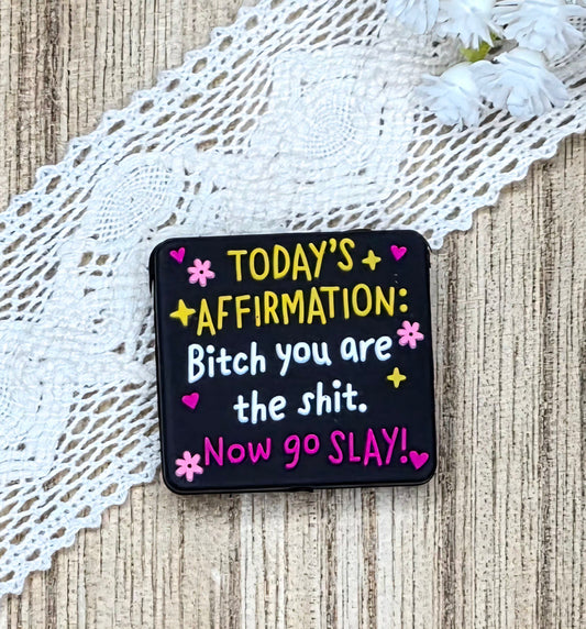 Today's Affirmation: Bitch You Are the Sh*t, Now Go Slay Silicone Focal Bead