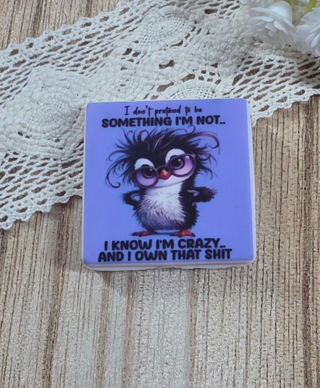I Know I'm Crazy and I Own That Shit Funny Penguin Silicone Focal Bead